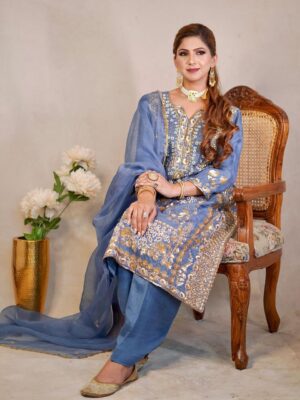 Punjabi Handwork Blue Suit FashionDoctorz Boutique