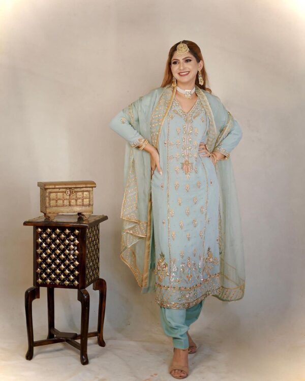 Punjabi Handwork Suit FashionDoctorz Boutique