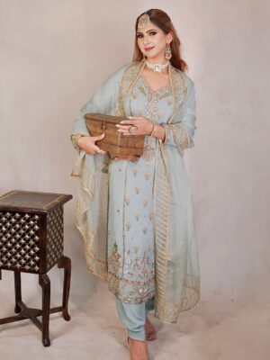 Punjabi Handwork Suit FashionDoctorz Boutique