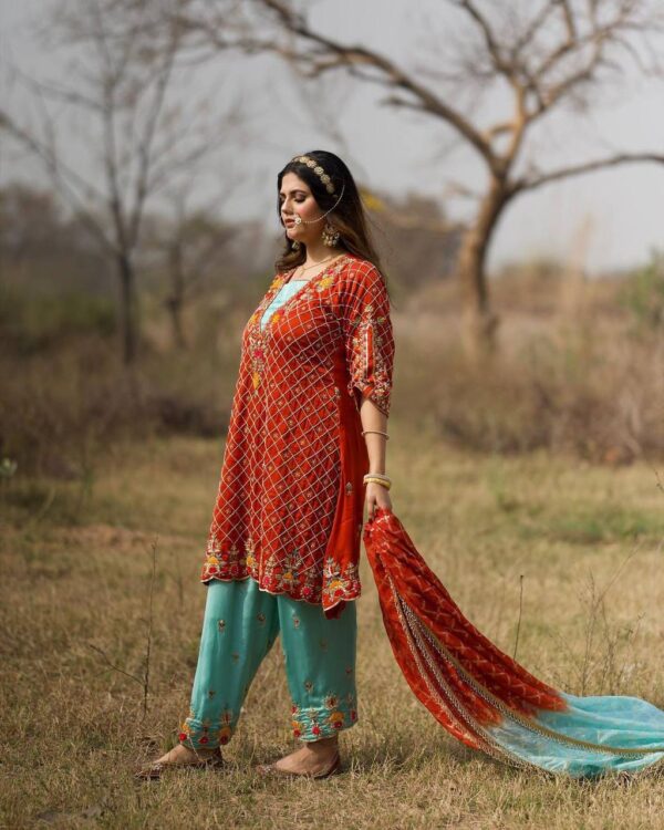 Punjabi Suit Buy Latest Design 2023