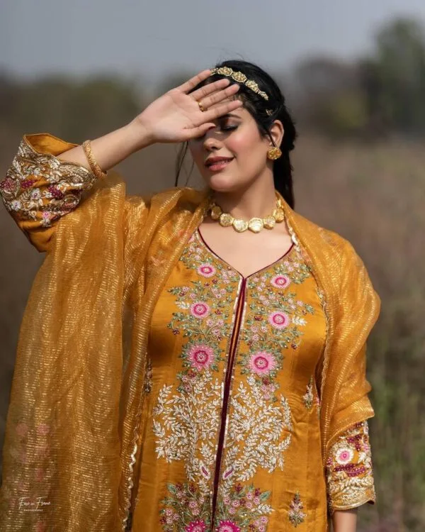 Punjabi Suit Design 2023 Online Boutique