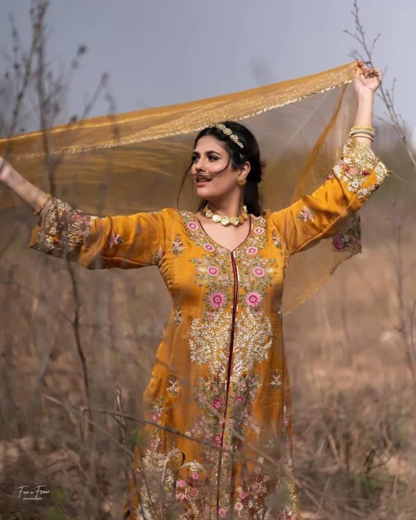 Punjabi Suit Design 2023 Online Boutique