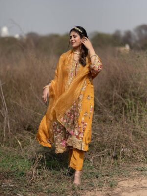 Punjabi Suit Design 2023 Online Boutique