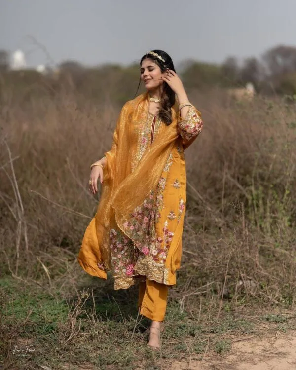 Punjabi Suit Design 2023 Online Boutique
