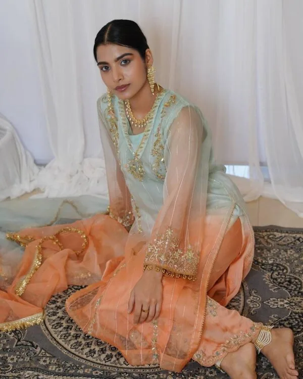 Designer Punjabi Suits Boutique