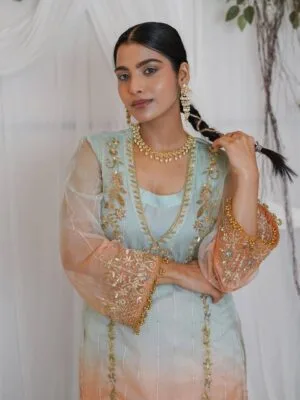 Designer Punjabi Suits Boutique