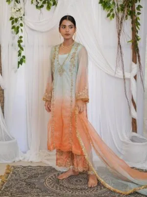 Designer Punjabi Suits Boutique