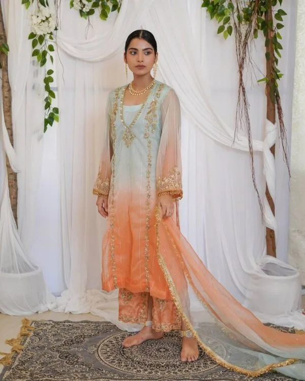 Designer Punjabi Suits Boutique