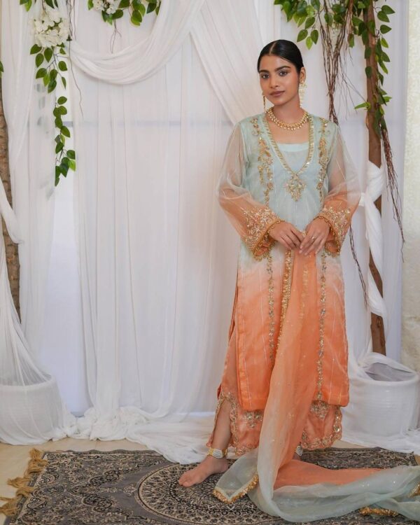 Designer Punjabi Suits Boutique