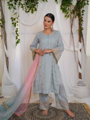 Designer Punjabi Suits Boutique | Blue