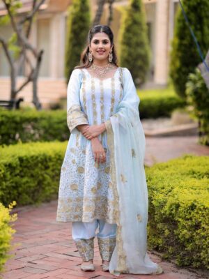 Punjabi Suit Design 2024 Blue