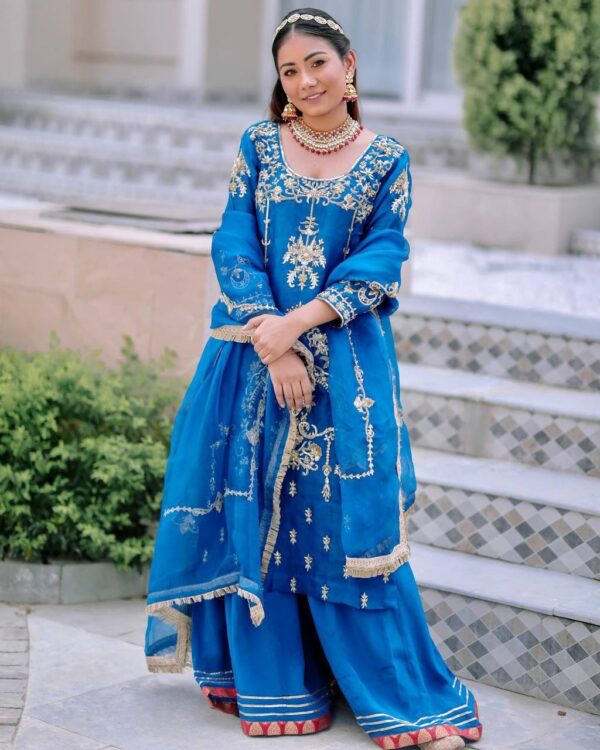Punjabi Suit For Girls Online Boutique