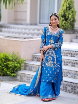 Punjabi Suit For Girls Online Boutique