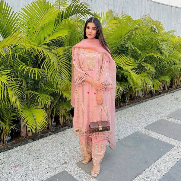 Punjabi Suit | Salwaar Kameez | Pink