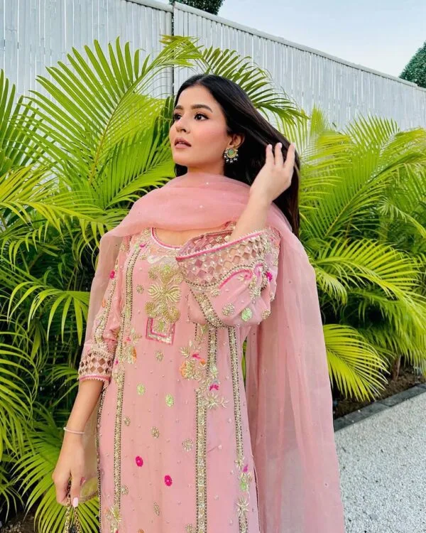 Punjabi Suit | Salwaar Kameez | Pink