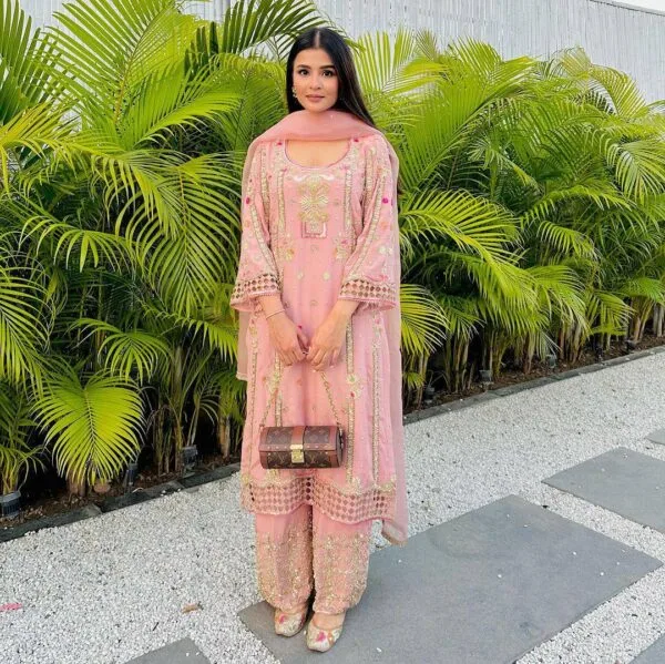 Punjabi Suit | Salwaar Kameez | Pink