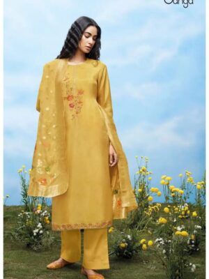 Ganga Aspyn organza silk suits