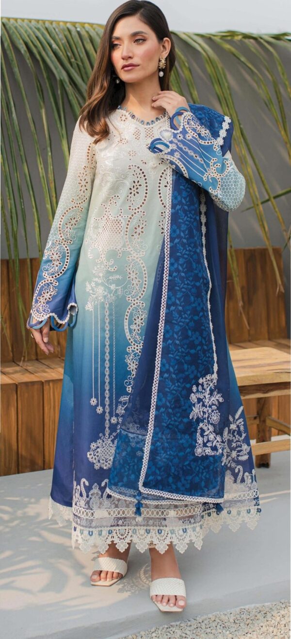 Latest Pakistani Suit Design 2024