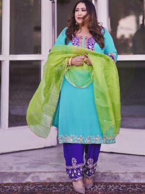 Punjabi Suits Design 2024 Blue