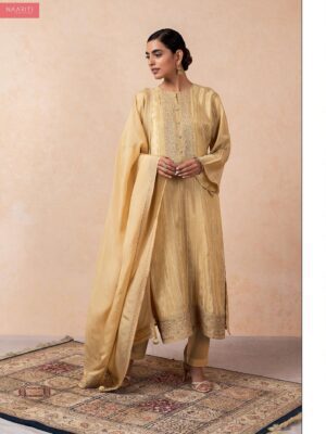 naariti banarasi silk suits