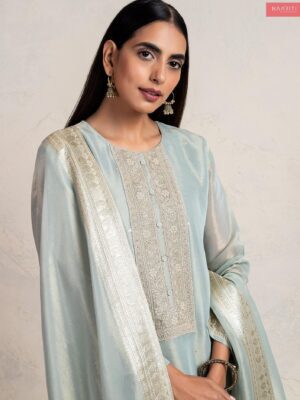 Naariti Organza silk suits