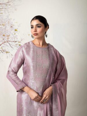 naariti tissue silk suits