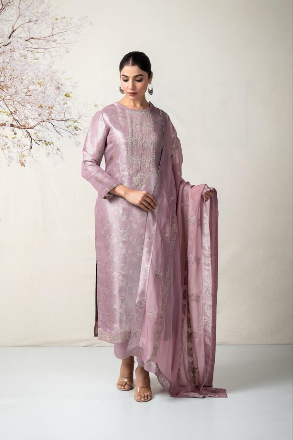 naariti tissue silk suits