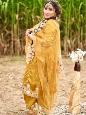 Punjabi Salwaar Kameez Suit