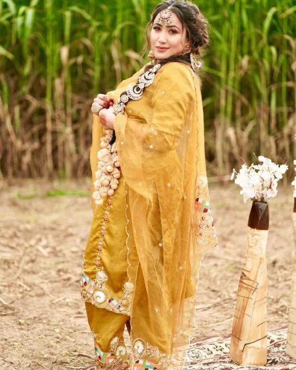 Punjabi Salwaar Kameez Suit