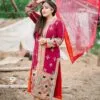 Punjabi Salwaar Kameez Suit