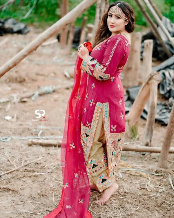 Punjabi Salwaar Kameez Suit