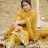 Punjabi Salwaar Kameez Suit