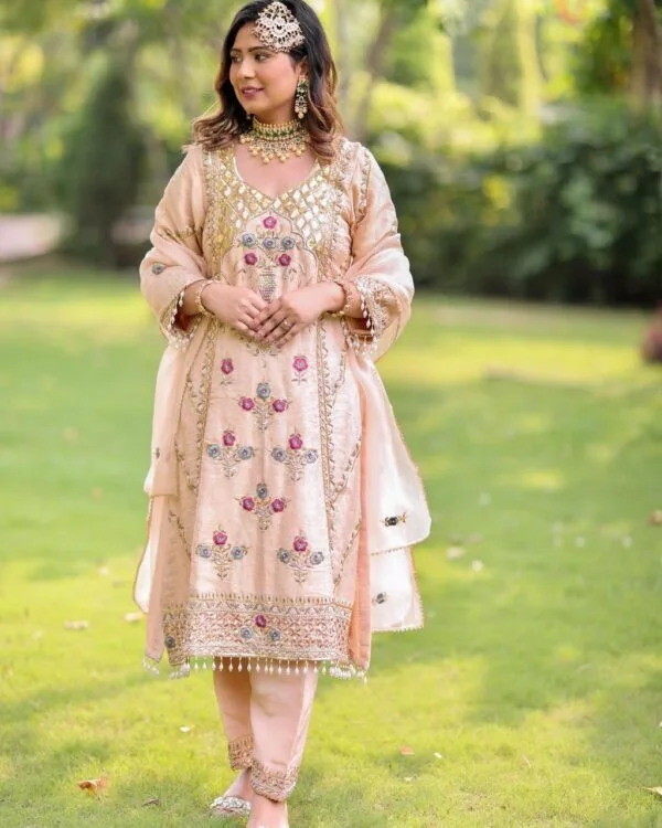 Fancy Punjabi Suit