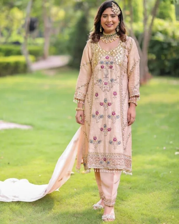 Fancy Punjabi Suit
