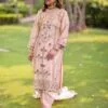 Fancy Punjabi Suit