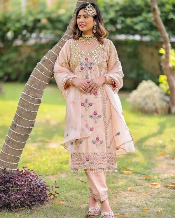 Fancy Punjabi Suit
