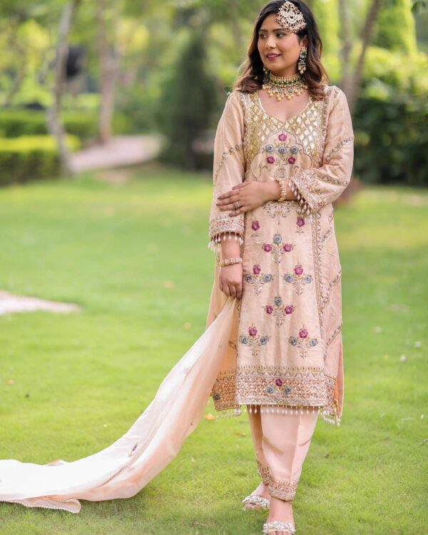 Fancy Punjabi Suit