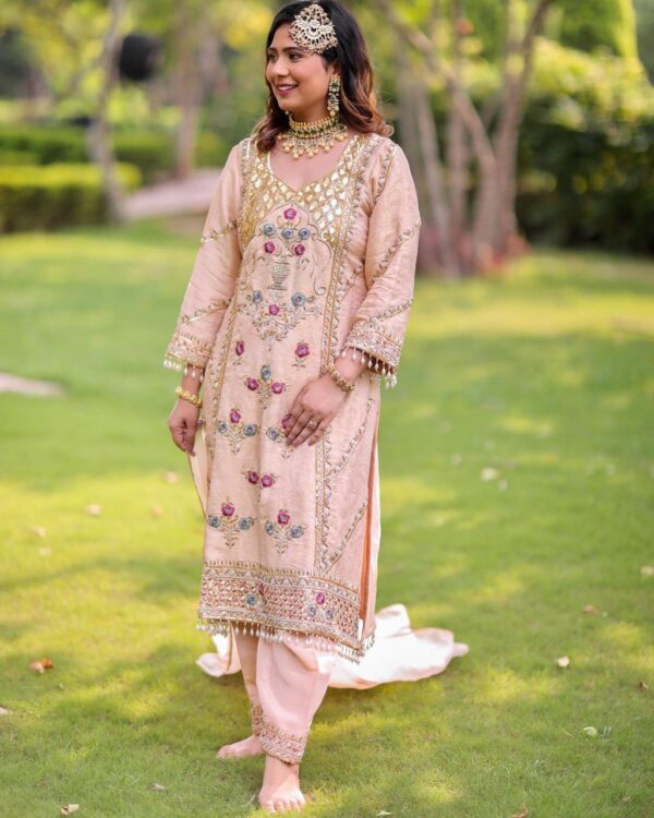 Fancy Punjabi Suit