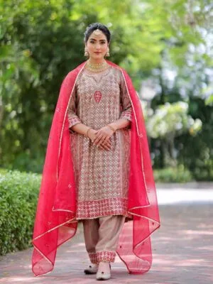Fancy Punjabi Suit | Brown
