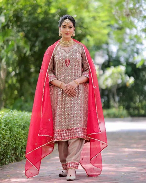 Fancy Punjabi Suit | Brown