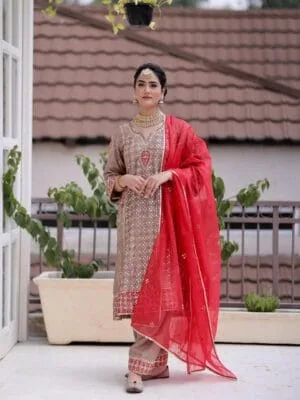 Fancy Punjabi Suit | Brown