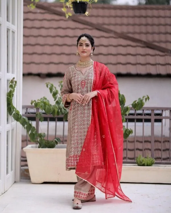 Fancy Punjabi Suit | Brown