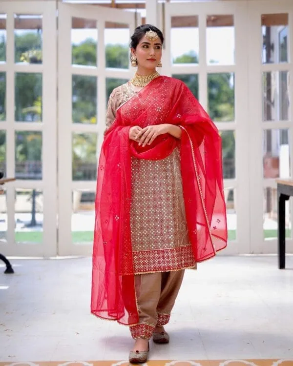 Fancy Punjabi Suit | Brown