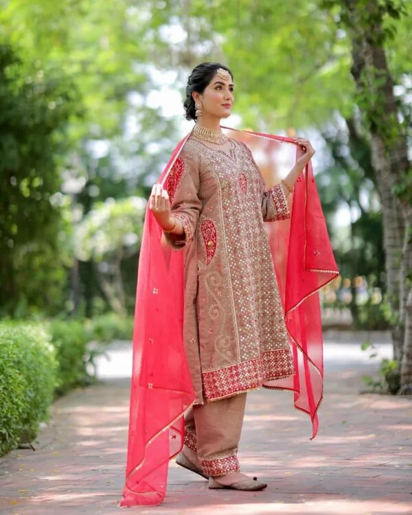 Fancy Punjabi Suit | Brown
