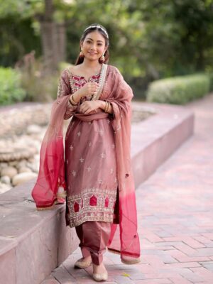 Fancy Punjabi Suit | Magenta