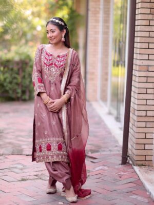 Fancy Punjabi Suit | Magenta