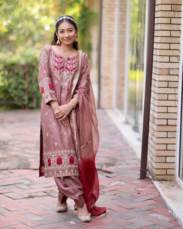 Fancy Punjabi Suit | Magenta