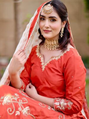 punjabi suit for women