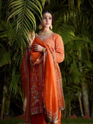 punjabi suit for women