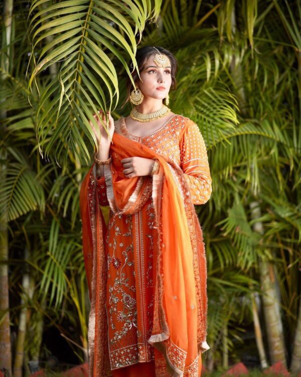 punjabi suit for women